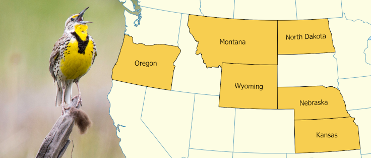 A map of the states which have the Meadowlark as their state bird.