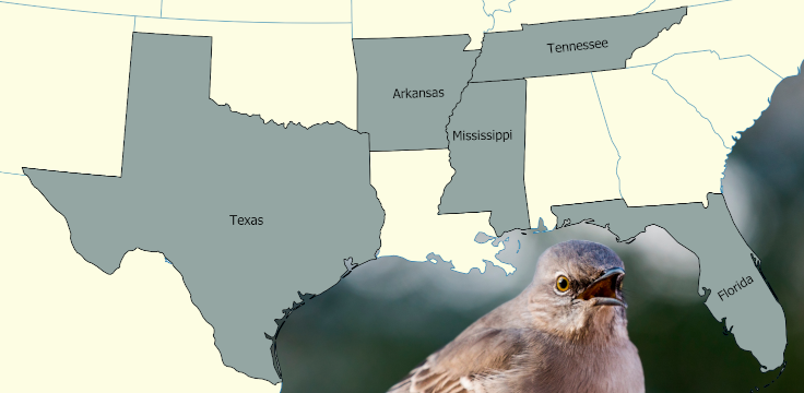 A map of the states which have the Mockingbird as their state bird.