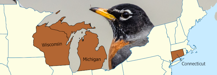 A map of the states which have the Robin as their state bird.